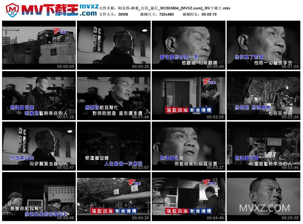 阿良伟-林桑_台语_流行_MC503804